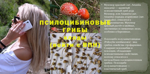 бутик Абаза
