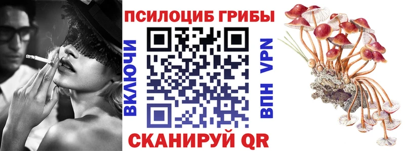 Псилоцибиновые грибы Cubensis  закладки  Шарья 